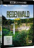 Regenwald - 4K