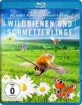 Film: Wildbienen und Schmetterlinge
