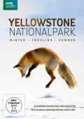 Film: Yellowstone Nationalpark