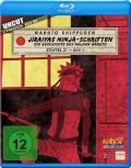 Naruto Shippuden - Box 21.1