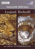 Film: Wildlife Specials - Leopard / Krokodil - BBC