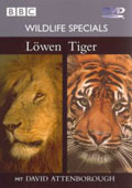 Film: Wildlife Specials - Lwen / Tiger - BBC