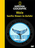 Film: National Geographic - Wale: Sanfte Riesen in Gefahr