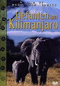 Elefanten am Kilimanjaro