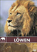 Safari: Lwen