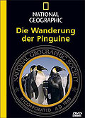 Film: National Geographic - Die Wanderung der Pinguine