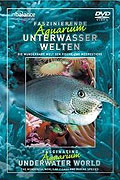 Faszinierende Aquarium Unterwasserwelten