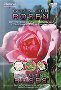 in balance: Faszination Rosen