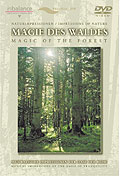 in balance: Magie des Waldes