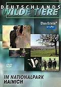Film: Deutschlands wilde Tiere - Im Nationalpark Hainich