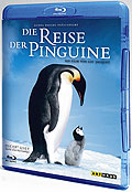 Film: Die Reise der Pinguine