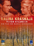 Kalina Krassnaja - Roter Holunder