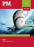 P.M. Die Wissensedition - Haie - Perfekte Unterwasserjger