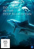 Dolphins in the Deep Blue Ocean