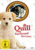 Film: Quill - Ein Freund frs Leben