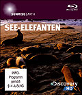 Discovery HD: Sunrise Earth - See-Elefanten