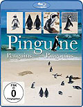 Film: Pinguine