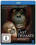 Film: The Last Trimate