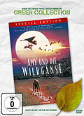 Amy und die Wildgnse - Special Edition - Green Collection