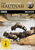 BBC Wildlife: Hautnah - Gnus auf auf Wanderschaft - Teil 2