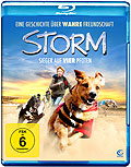 Film: Storm - Sieger auf vier Pfoten