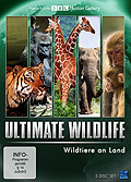 Film: Ultimate Wildlife - Edition 1 - Wildtiere an Land