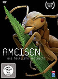 Film: Ameisen - Die heimliche Weltmacht