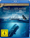 Film: Jules Verne Adventures - Die Wale von Atlantis - Auf der Suche nach Moby Dick