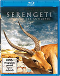 Film: Serengeti - Im Reich der Antilopen