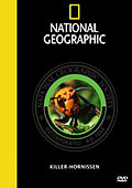 National Geographic - Killer-Hornissen