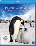 Pengi und Sommi - Die neue Reise der Pinguine
