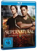 Supernatural - Staffel 8