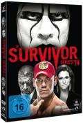 WWE Survivor Series 2014