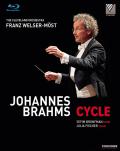 Johannes Brahms - Cycle