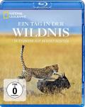 Film: Wild 24: Ein Tag in der Wildnis