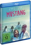 Film: Mustang