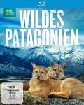 Film: Wildes Patagonien