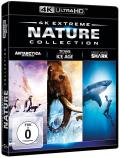 Film: Extreme Nature Collection - 4K