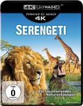 Serengeti - 4K