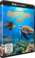 Red Sea - 4K