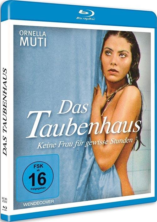 DVD Cover: 