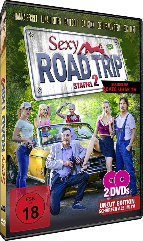 DVD Cover: Sexy Road Trip 2
