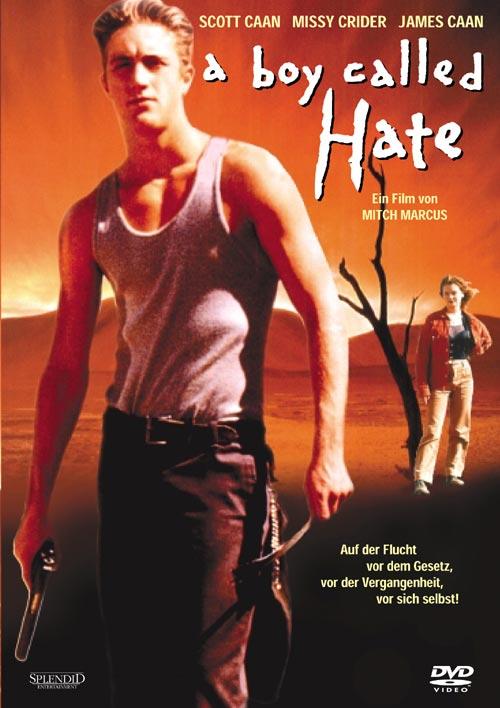DVD Cover: A Boy Called Hate