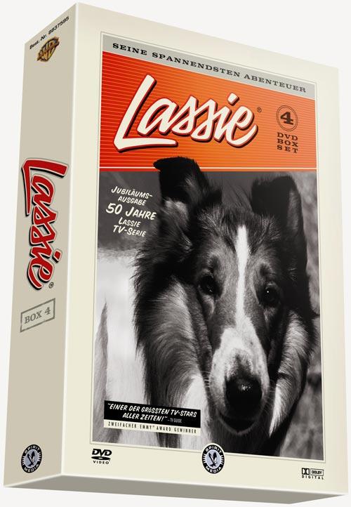 lightbox image