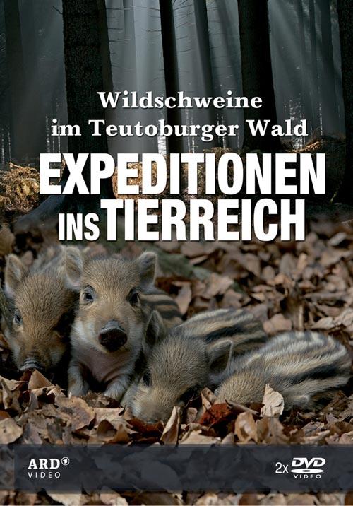 DVD Cover: Expeditionen ins Tierreich: Wildschweine im Teutoburger Wald