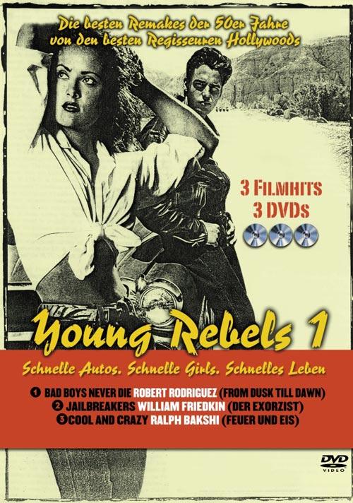 DVD Cover: Young Rebels 1
