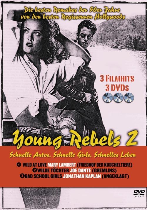 DVD Cover: Young Rebels 2