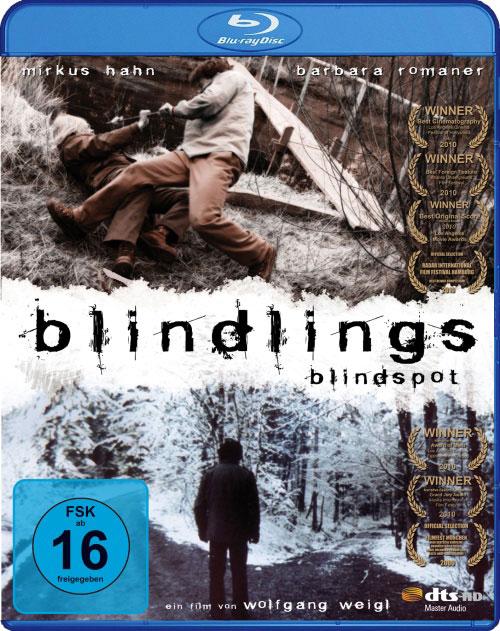 DVD Cover: Blindlings - Blindspot