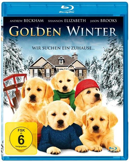 DVD Cover: Golden Winter - Wir suchen ein Zuhause
