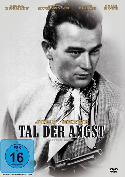DVD Cover: Tal Der Angst